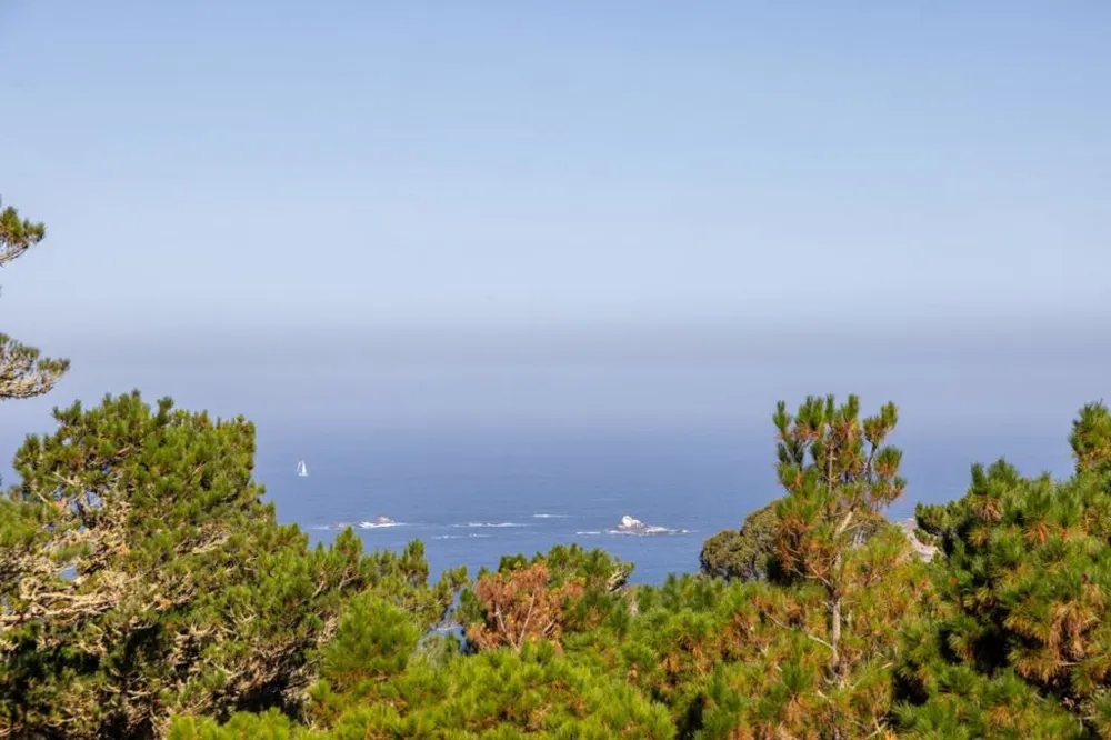 73 Mount Devon Road Carmel, CA 93923