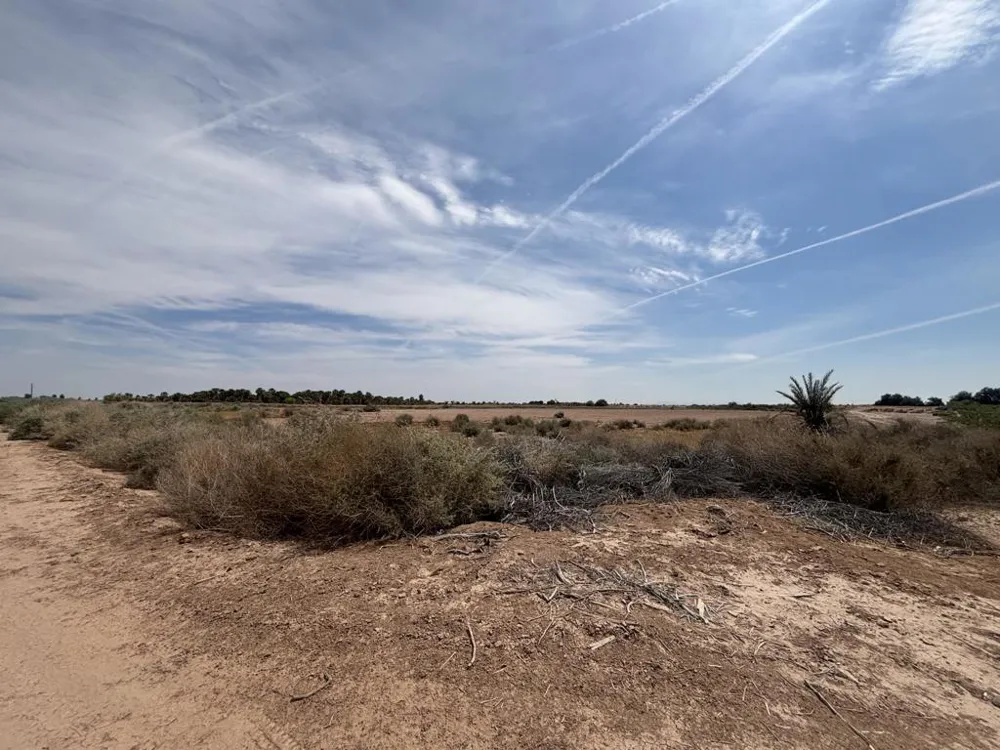 Sweet Road Imperial, CA 92251