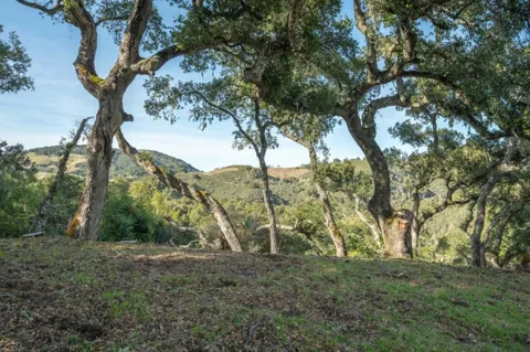 5 Vasquez (Lot 170) Trail