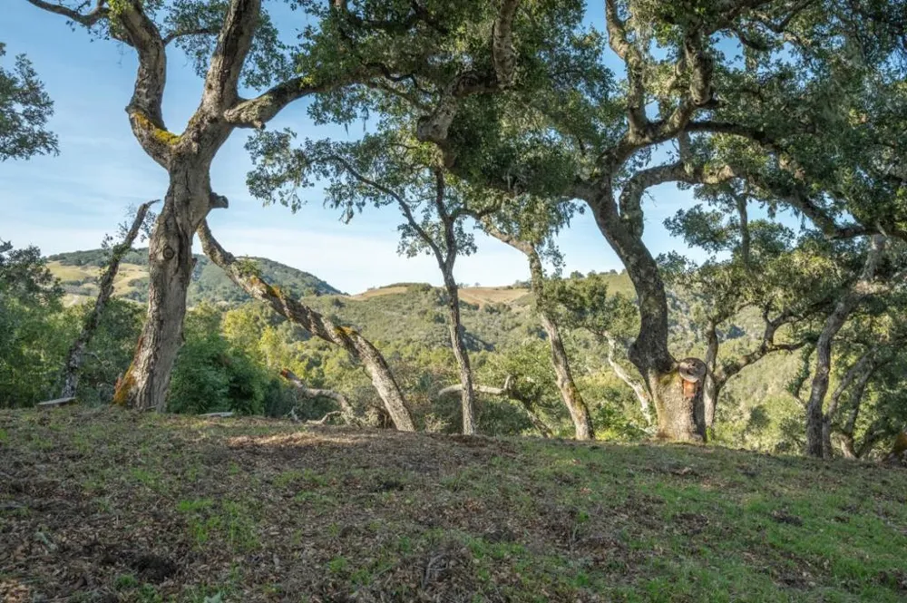 5 Vasquez (Lot 170) Trail Carmel, CA 93923