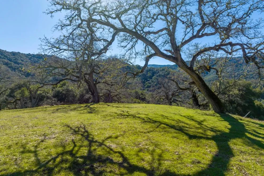 25 Arroyo Sequoia (Lot 108) Carmel, CA 93923
