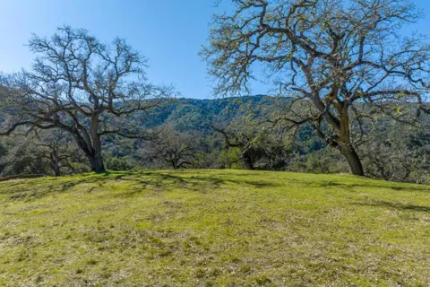 25 Arroyo Sequoia (Lot 108)