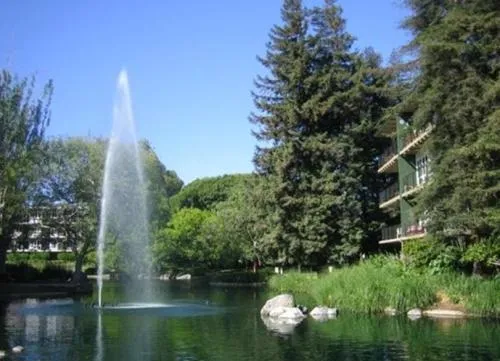 932 Peninsula Avenue #406 San Mateo, CA 94401