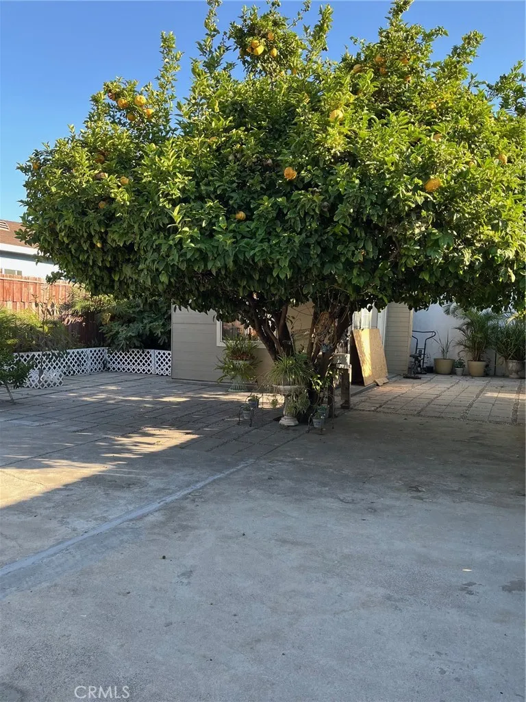 416 E 31st Street Los Angeles, CA 90011
