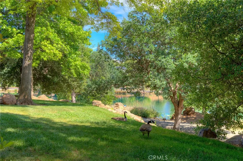 2883 Pennyroyal dr Chico, CA 95928