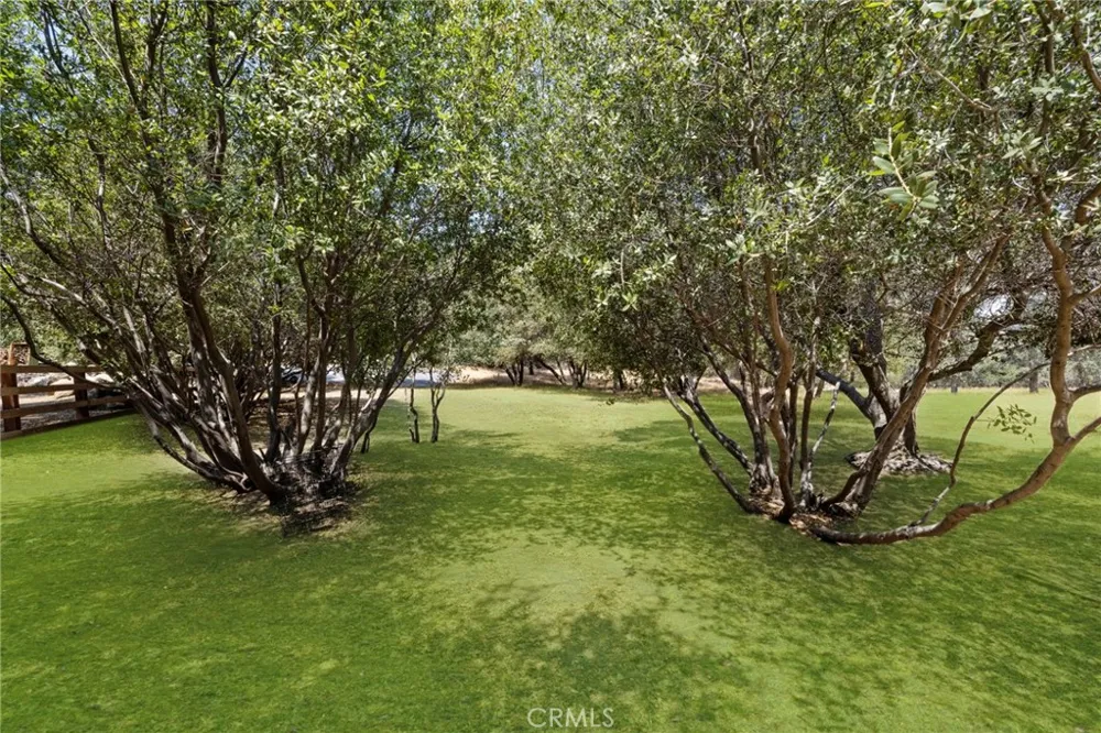 1 Kirkham Court Keene, CA 93531