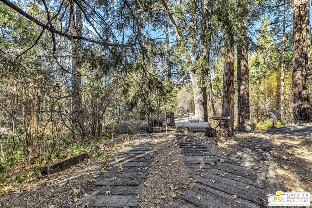 54865 Strong Drive Idyllwild, CA 92549