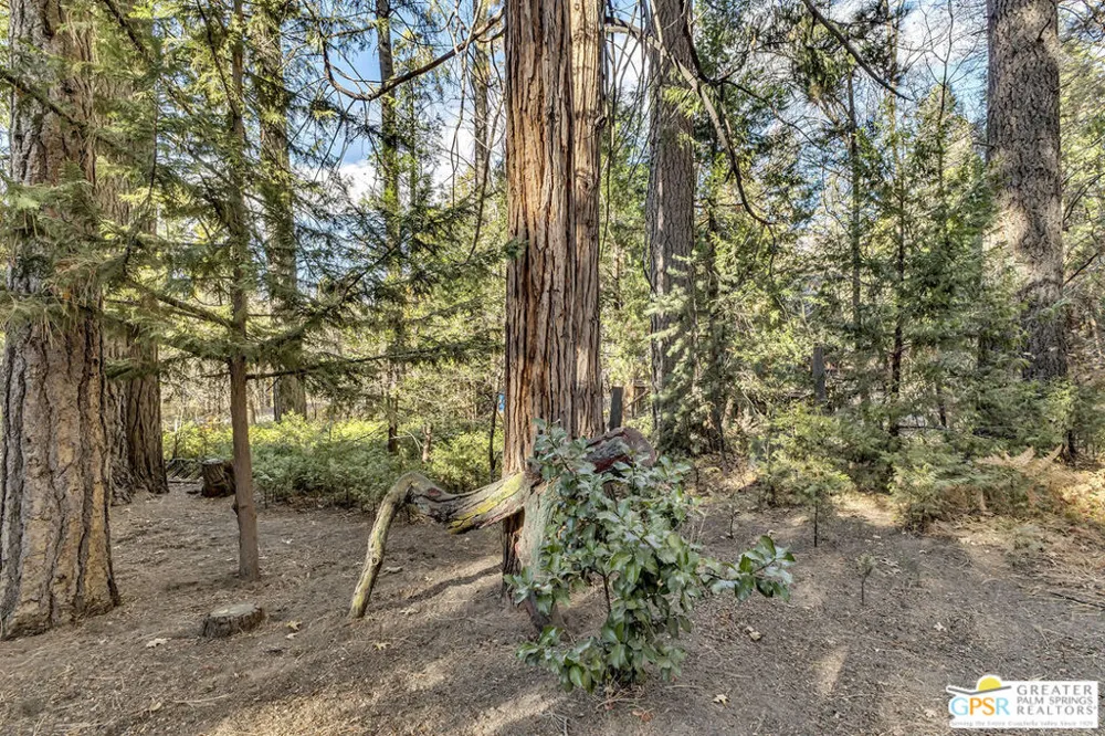54865 Strong Drive Idyllwild, CA 92549