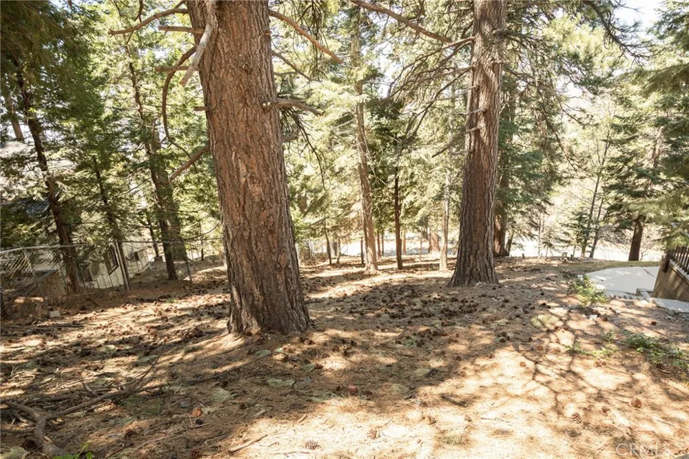 30908 Glen Oak Running Springs, CA 92382