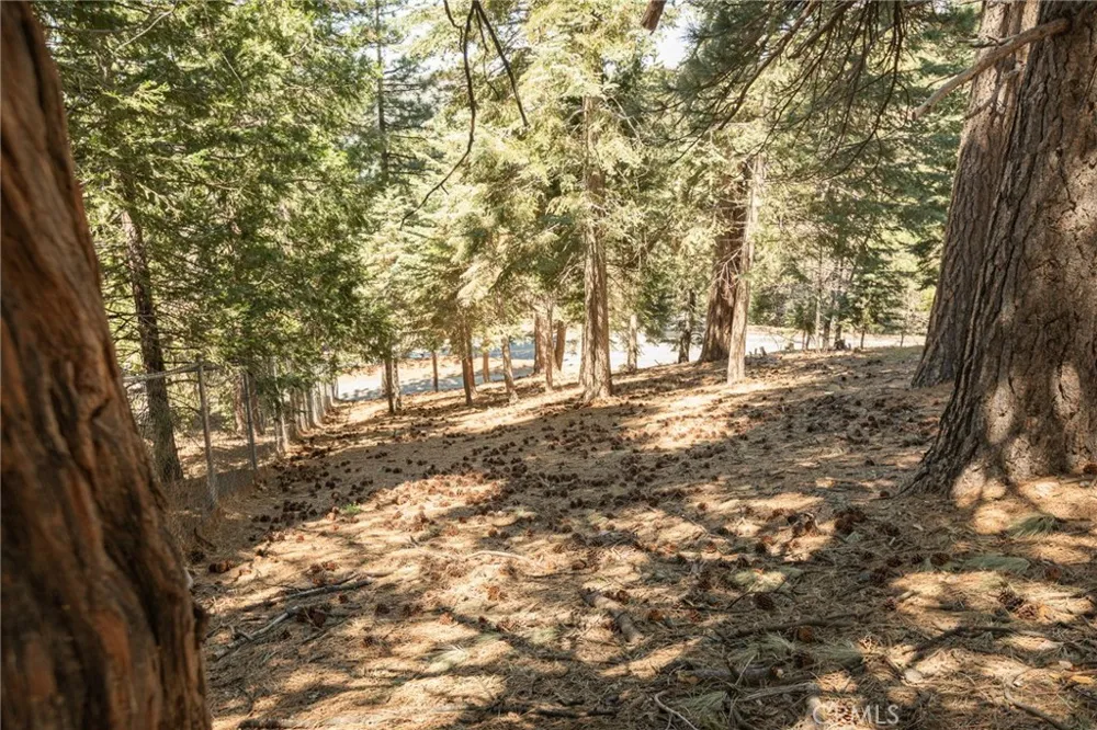 30908 Glen Oak Running Springs, CA 92382