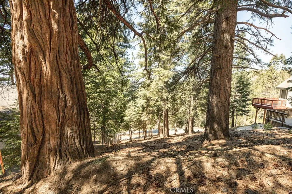 30908 Glen Oak Running Springs, CA 92382
