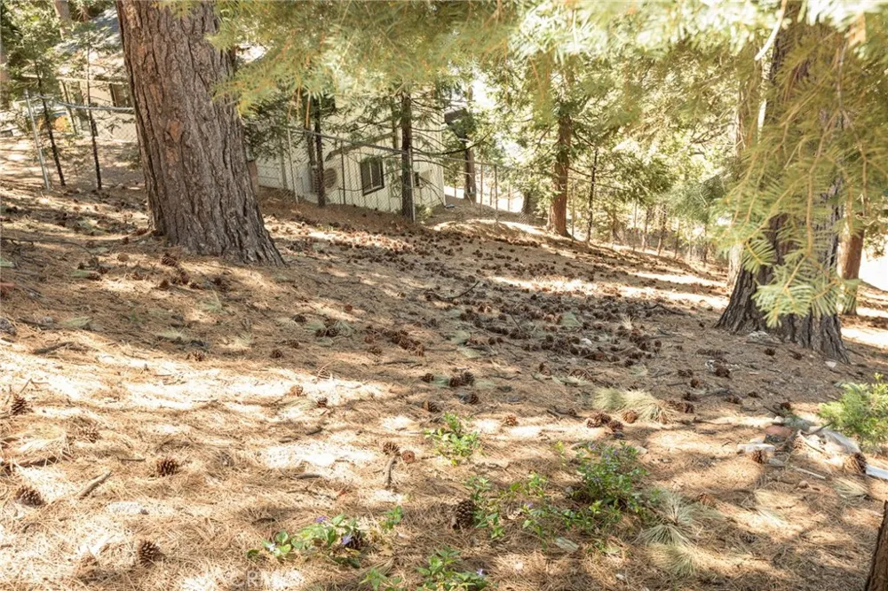 30908 Glen Oak Running Springs, CA 92382