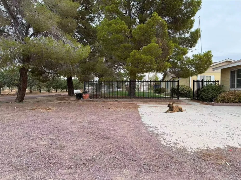 33979 Fremont Rd Newberry Springs, CA 92365