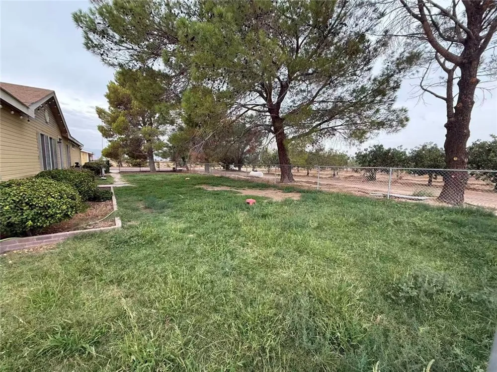 33979 Fremont Rd Newberry Springs, CA 92365