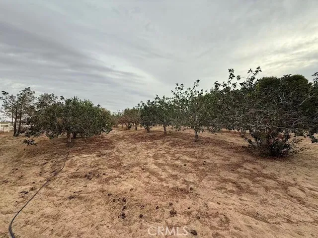 33979 Fremont Rd Newberry Springs, CA 92365