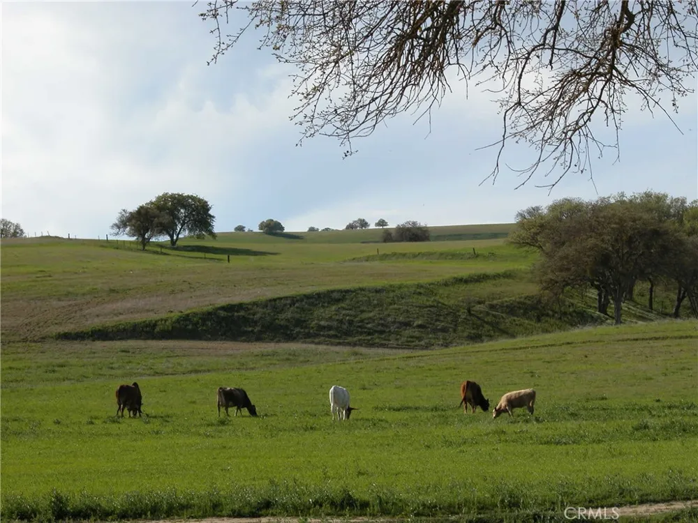3470 Ranchita Cyn Rd San Miguel, CA 93451