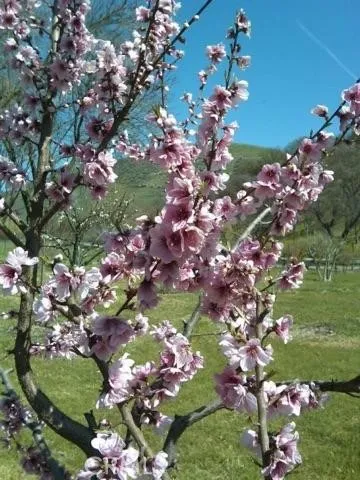 3470 Ranchita Cyn Rd San Miguel, CA 93451