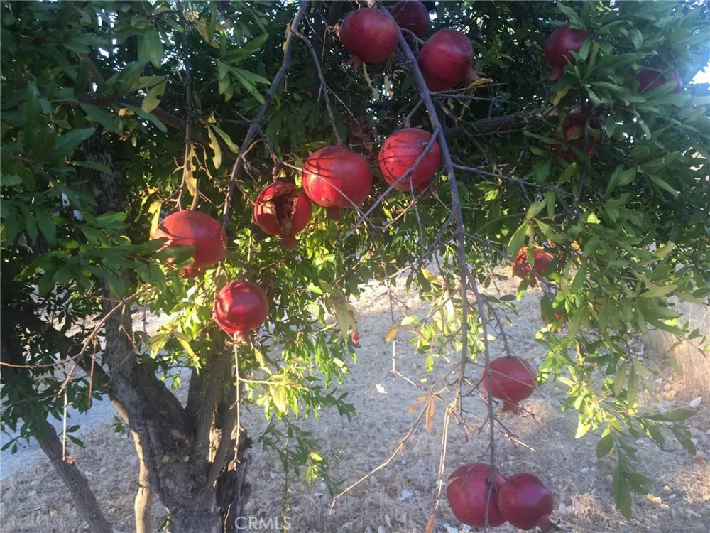 3470 Ranchita Cyn Rd San Miguel, CA 93451