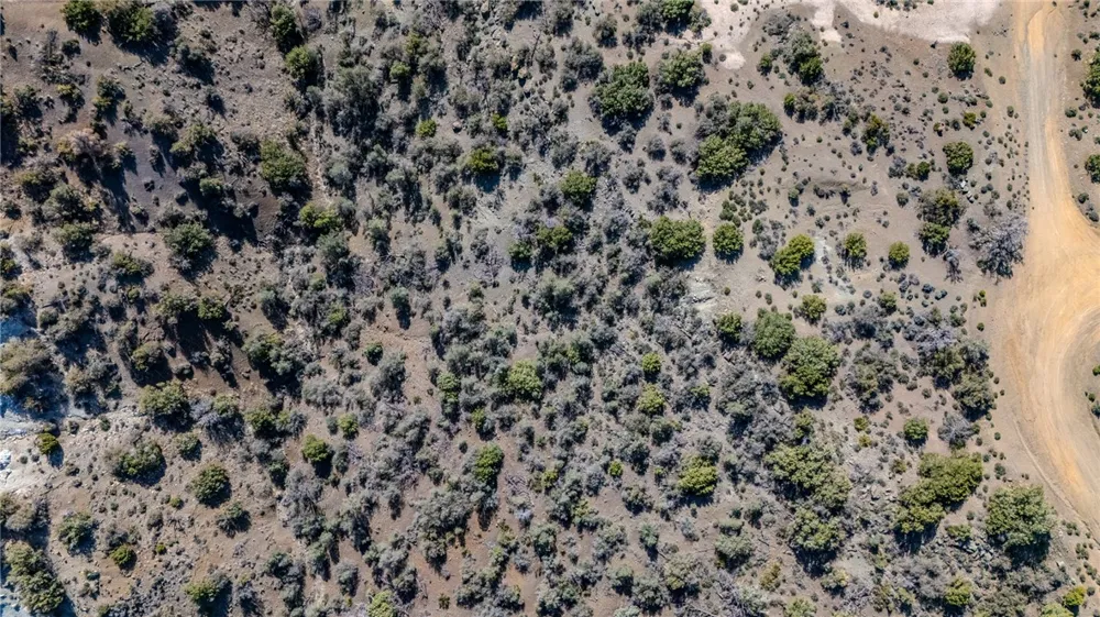 11101 Halter Tehachapi, CA 93561