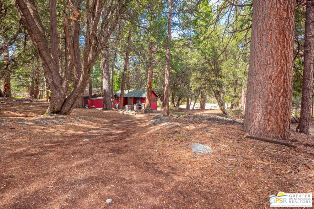 76 Seven Oaks Trail Angelus Oaks, CA 92305
