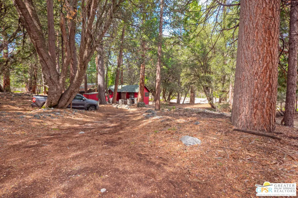 76 Seven Oaks Trail Angelus Oaks, CA 92305