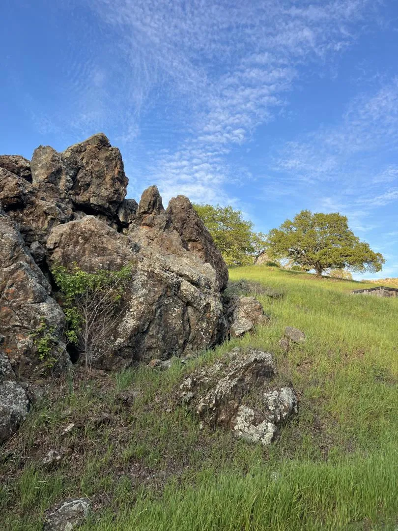 Oak Glen Avenue Morgan Hill, CA 95037
