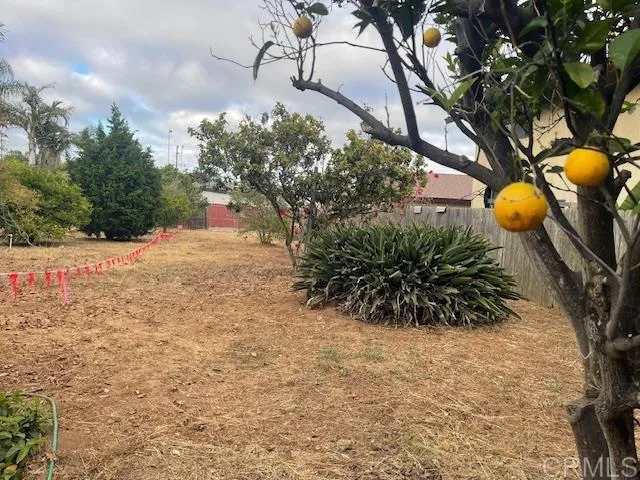 3328 Roosevelt Street Carlsbad, CA 92008