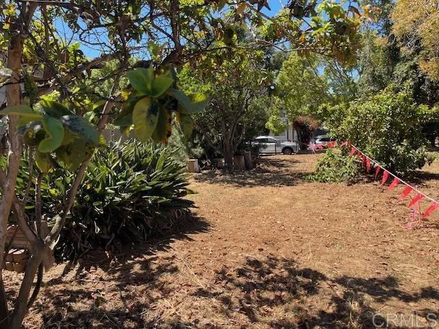 3328 Roosevelt Street Carlsbad, CA 92008