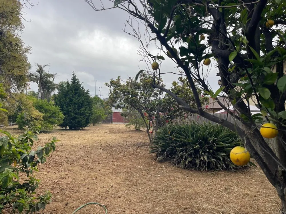 3328 Roosevelt Street Carlsbad, CA 92008