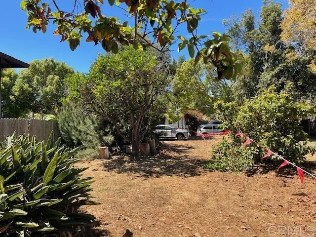 3328 Roosevelt Street Carlsbad, CA 92008