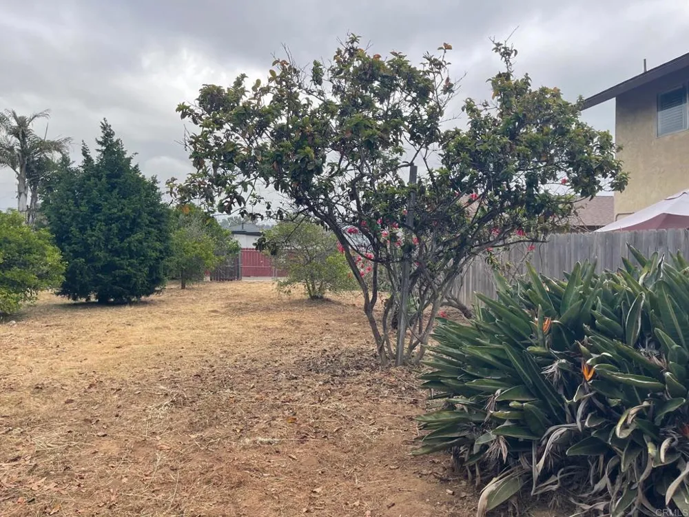 3328 Roosevelt Street Carlsbad, CA 92008
