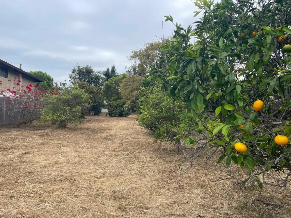 3328 Roosevelt Street Carlsbad, CA 92008
