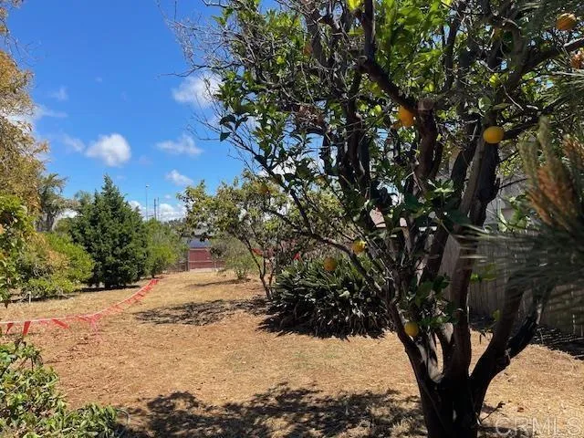 3328 Roosevelt Street Carlsbad, CA 92008