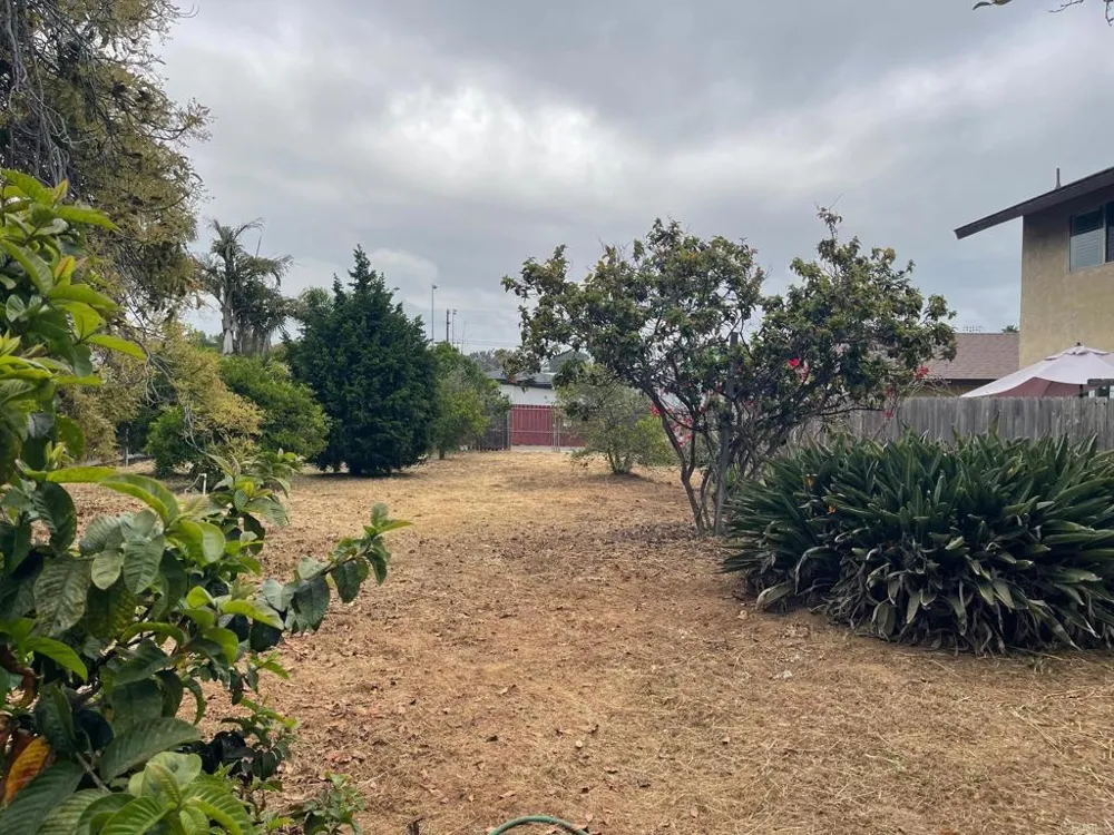 3328 Roosevelt Street Carlsbad, CA 92008
