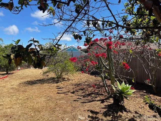 3328 Roosevelt Street Carlsbad, CA 92008