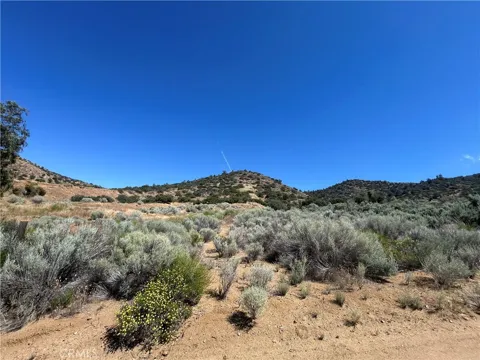 VAC/ALLUVIUM WY (DRT)/VIC ROSENL