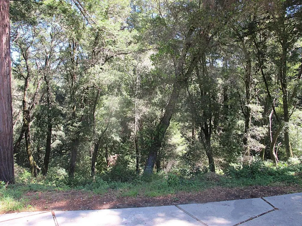 300 Winona Way Aptos, CA 95003