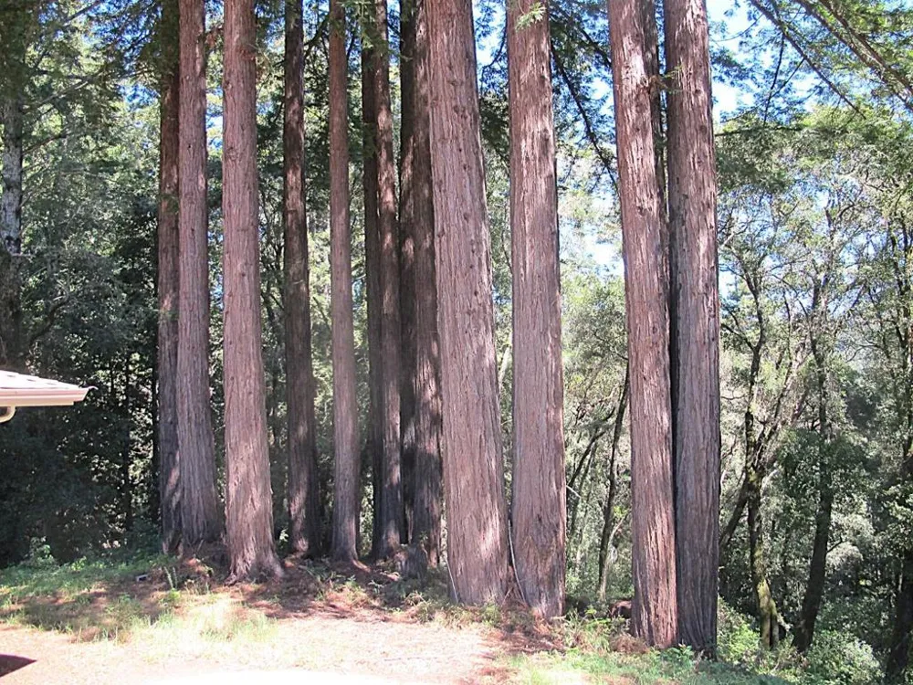 300 Winona Way Aptos, CA 95003