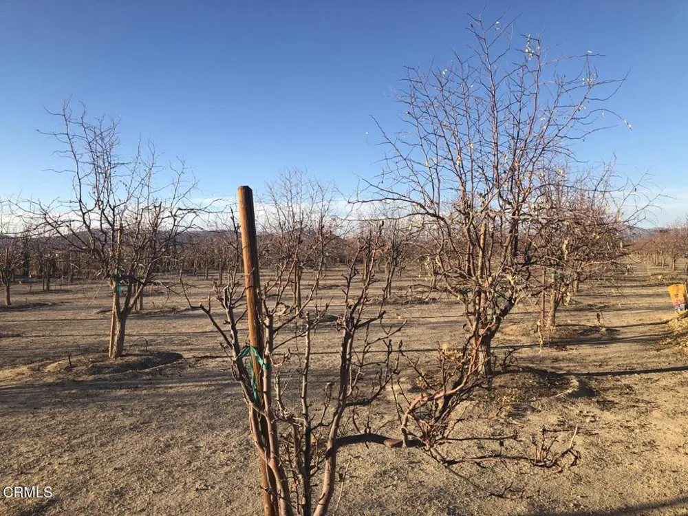 34738 Old Woman Springs Road Lucerne Valley, CA 92356