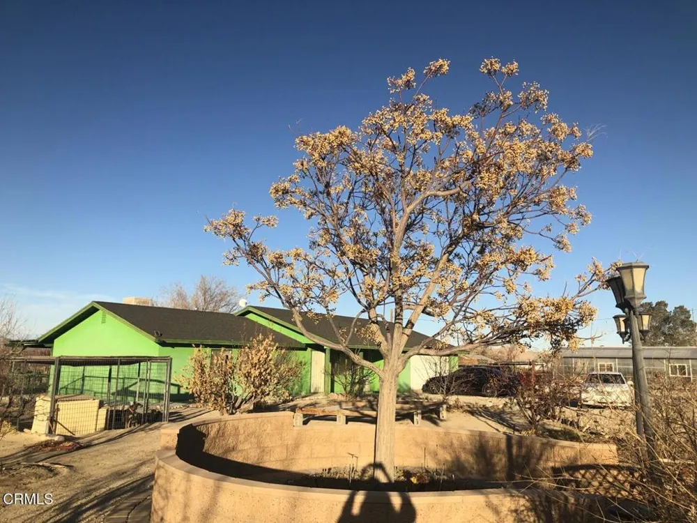 34738 Old Woman Springs Road Lucerne Valley, CA 92356