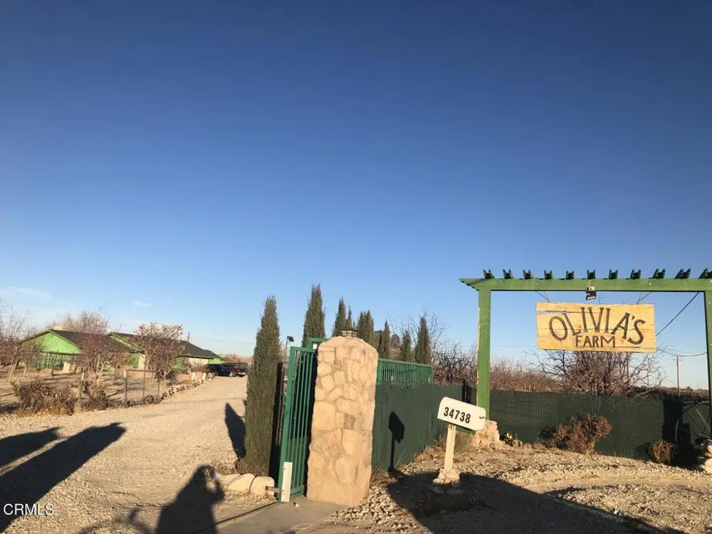 34738 Old Woman Springs Road Lucerne Valley, CA 92356