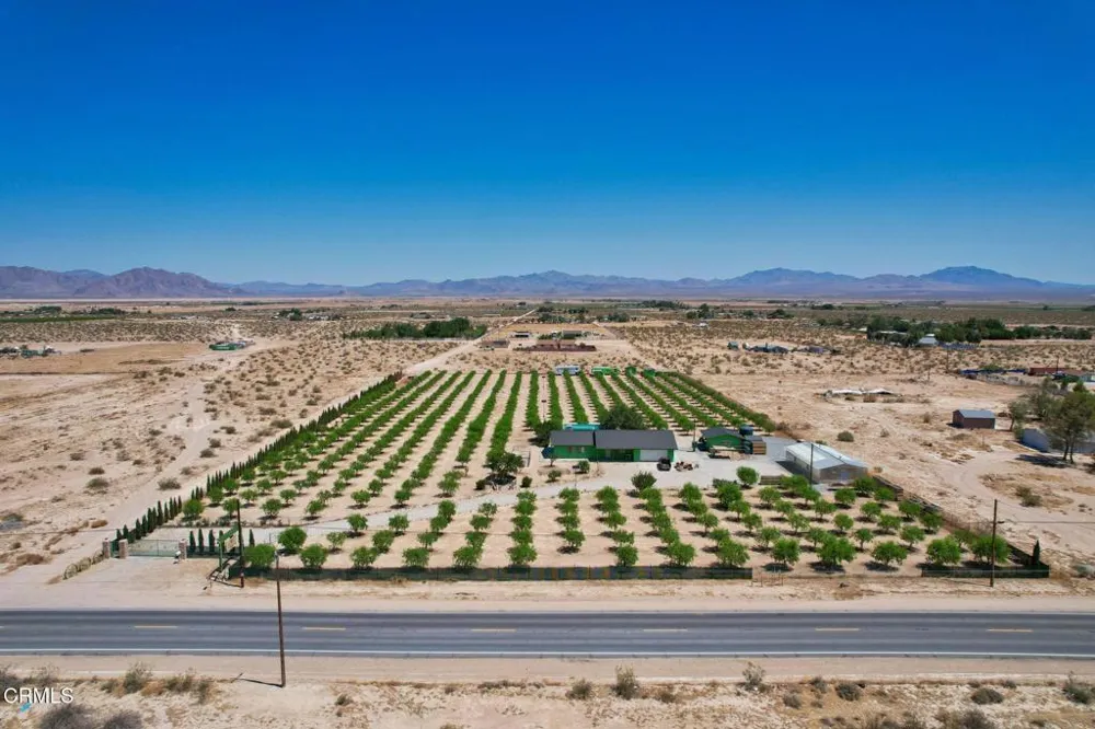 34738 Old Woman Springs Road Lucerne Valley, CA 92356