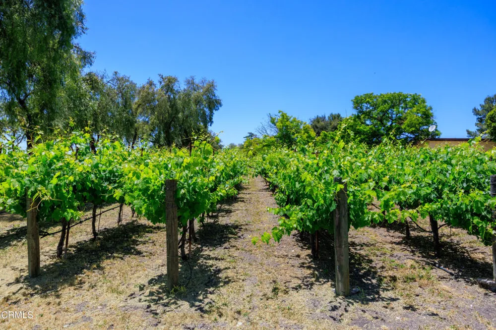2851 Tapadero Road Solvang, CA 93463