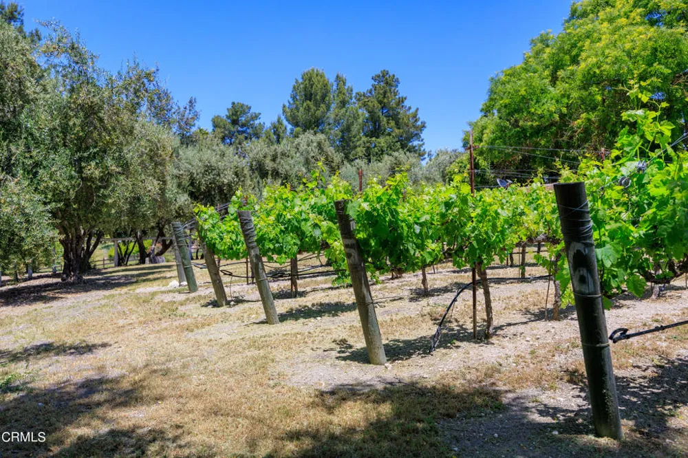 2851 Tapadero Road Solvang, CA 93463