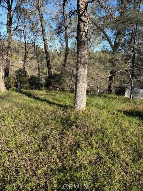 7098 Corral Corning, CA 96021