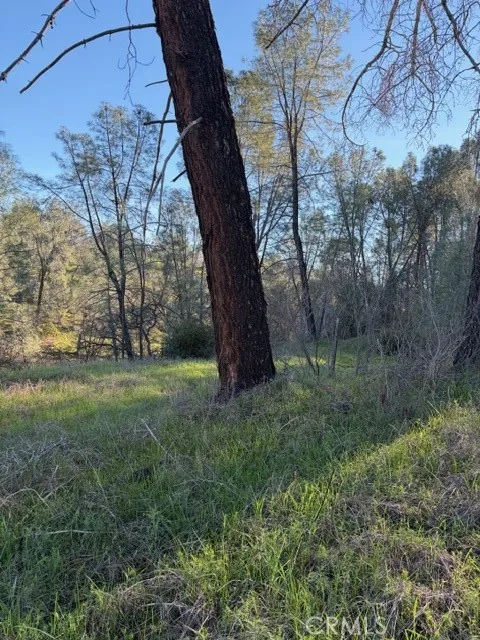 7098 Corral Corning, CA 96021
