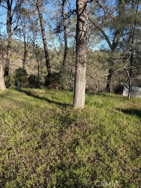 7098 Corral Corning, CA 96021