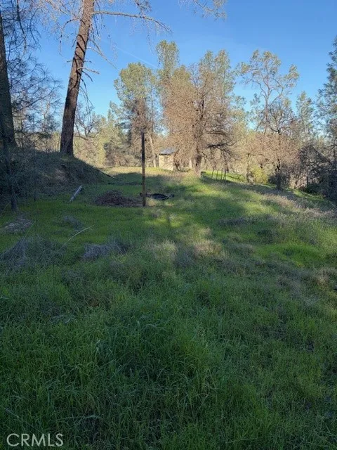 7098 Corral Corning, CA 96021