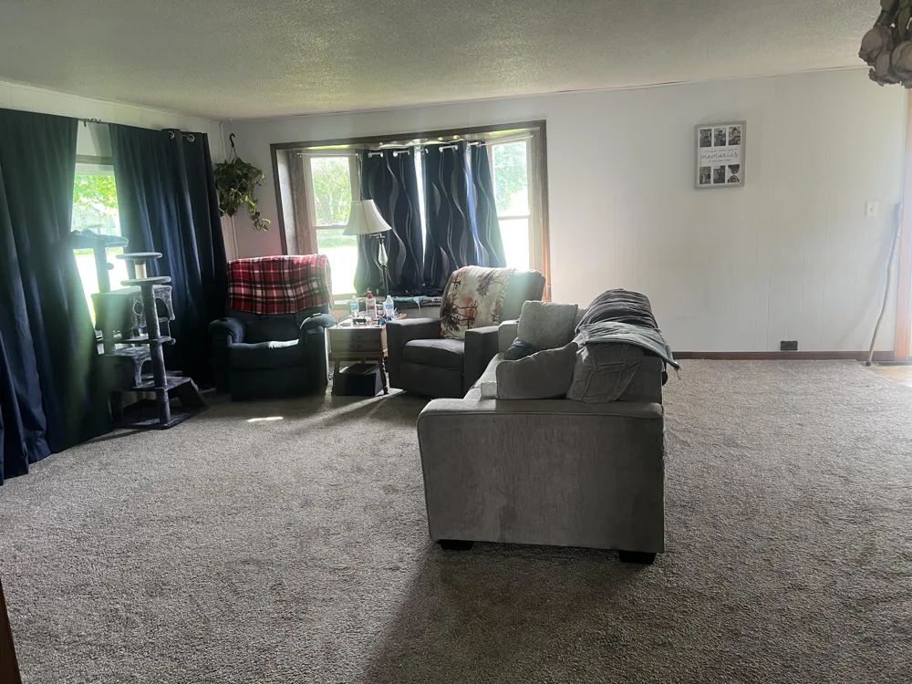 228 W Forest Street Edmore, MI 48829