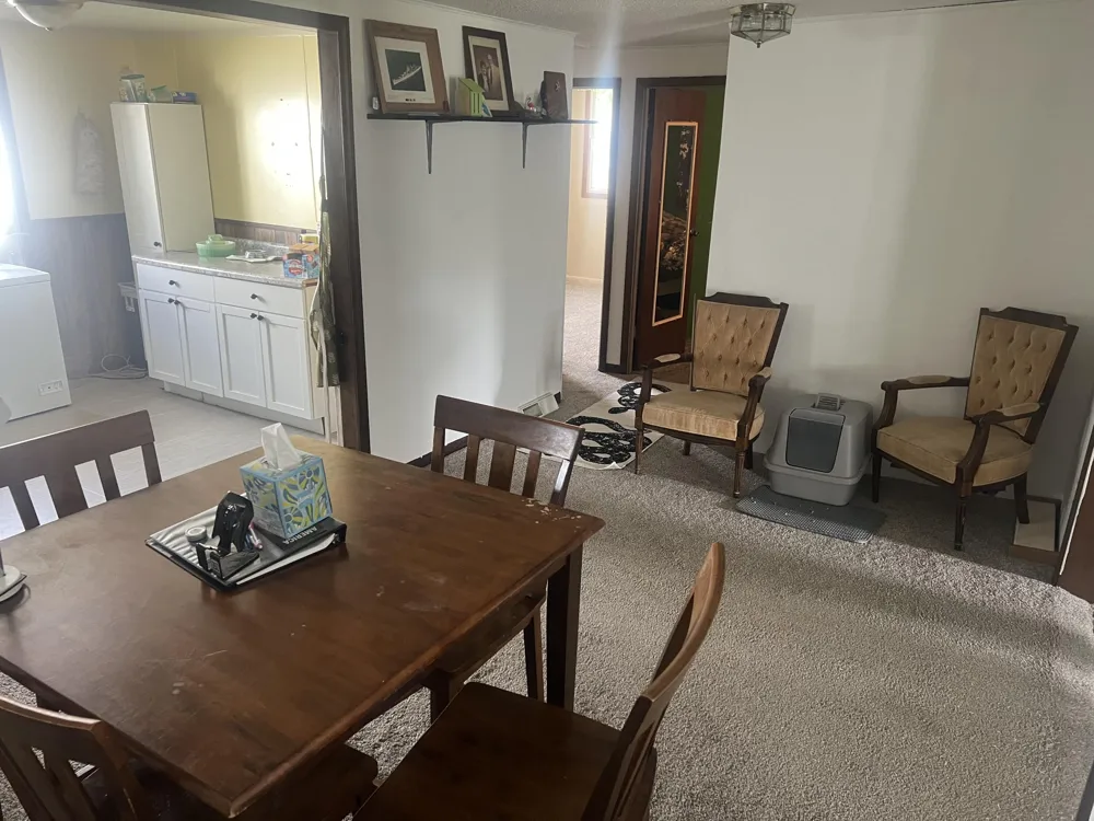 228 W Forest Street Edmore, MI 48829